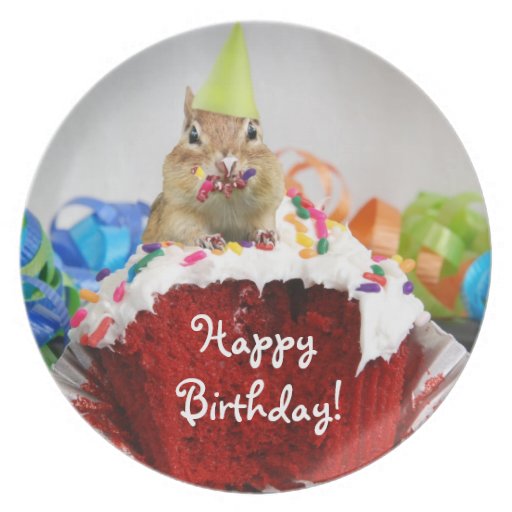 Happy Birthday Chipmunk Plate | Zazzle