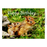 Happy Birthday Chipmunks Group Card