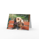 Happy Birthday Cocker Spaniel greeting card