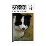 Happy Birthday Collie dog birthday wishes postage