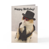 Happy Birthday, Cool Cat! cards