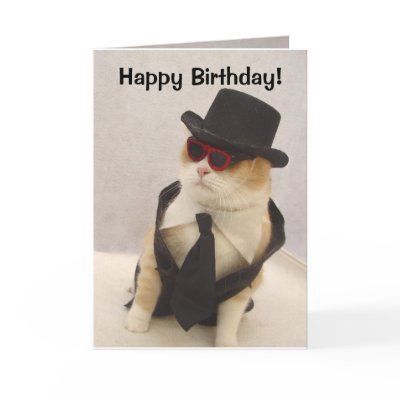 happy birthday cat cards