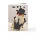 Happy Birthday, Cool Cat! cards by myrtieshuman Happy Birthday, Cool Cat! cards