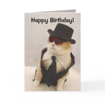 Happy Birthday, Cool Cat! cards by myrtieshuman Happy Birthday, Cool Cat! cards