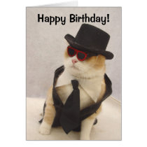 Happy Birthday, Cool Cat! cards