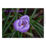 Happy Birthday-crocus flower Greeting Cards