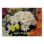 Happy Birthday, customizable greeting card