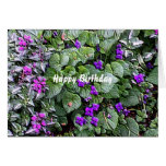 Happy Birthday! - Customized Greeting Cards
