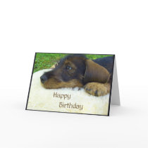 Happy Birthday, cute Dachshund puppy cards by Rainmountain Happy Birthday, cute Dachshund puppy cards