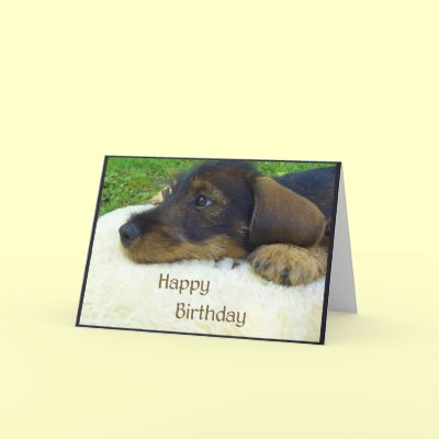 Happy Birthday, cute Dachshund puppy Greeting Cards by Rainmountain