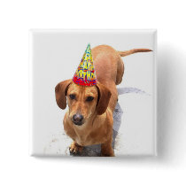 Happy Birthday Dachshund Button