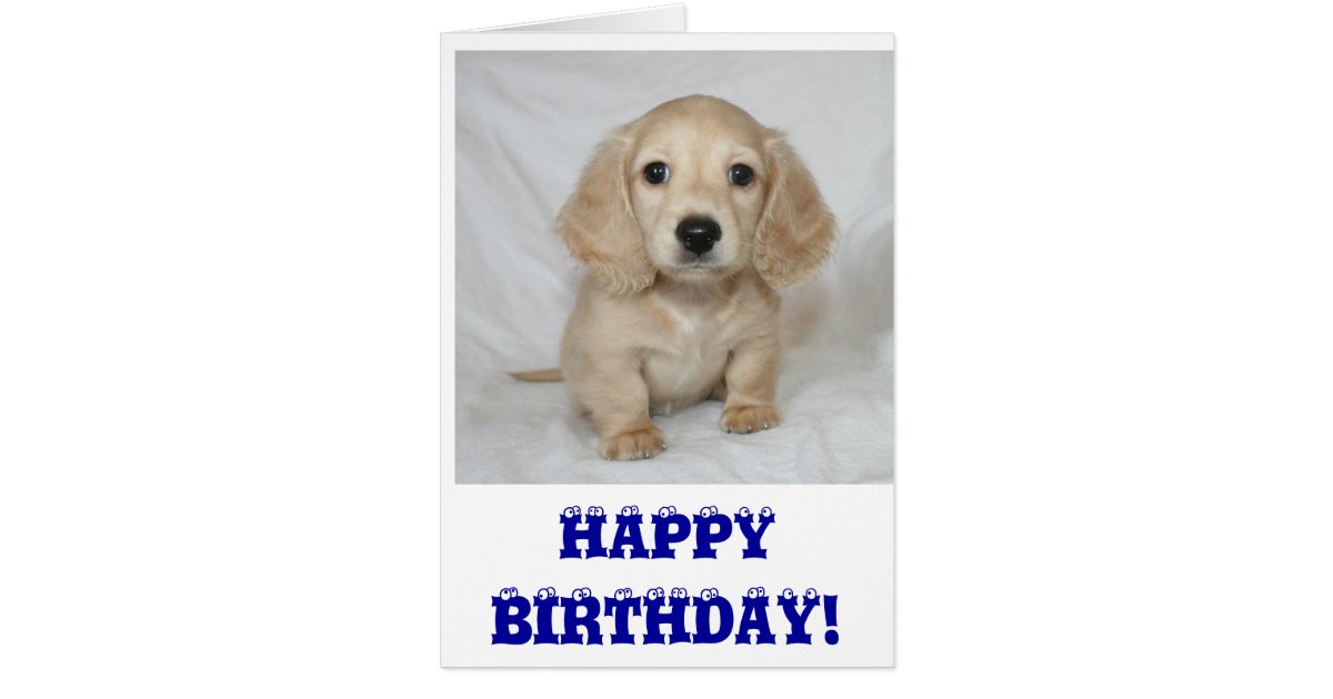 Happy birthday dachshund card Zazzle