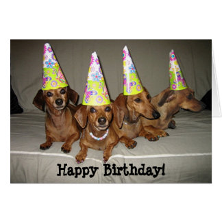 happy_birthday_dachshund_greeting_cards-r884c8b3b48f54f19bf65de95d557cf76_xvuak_8byvr_324.jpg