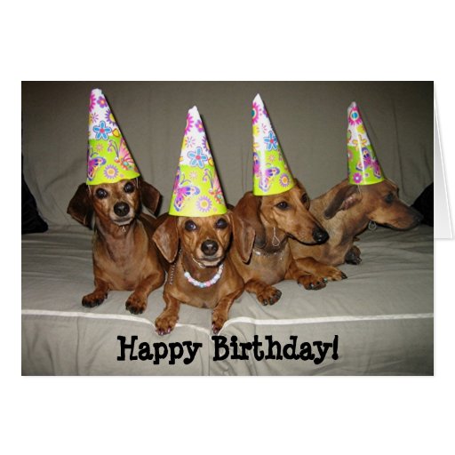 happy_birthday_dachshund_greeting_cards-r884c8b3b48f54f19bf65de95d557cf76_xvuak_8byvr_512.jpg?bg=0xffffff