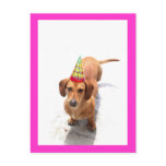 Happy Birthday Dachshund Postcard