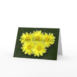 Happy Birthday Daises cards