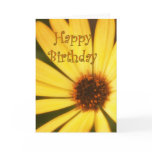 Happy Birthday Daisy cards