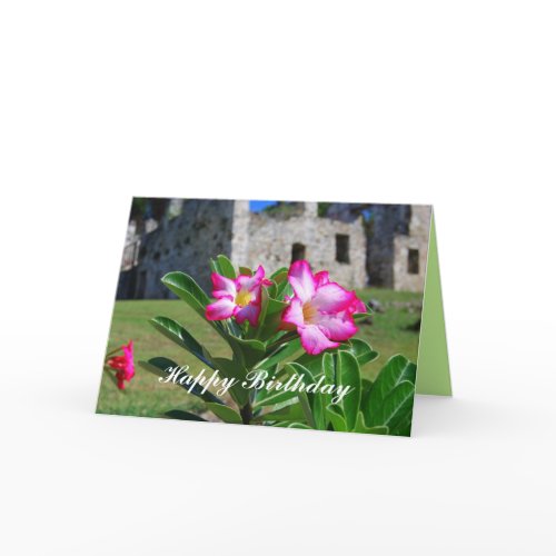 Happy Birthday Desert Rose Flowers at Sugar Mill card