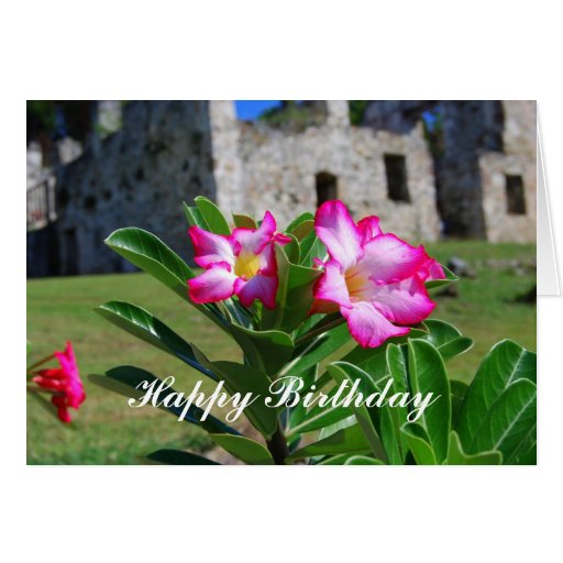 Happy Birthday Desert Rose Flowers at Sugar Mill Card Zazzle