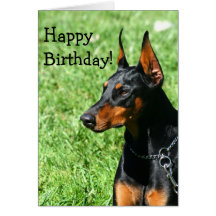Happy Birthday Doberman Pinscher greeting card