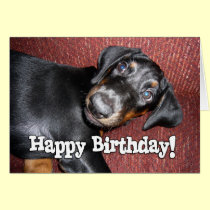 Happy Birthday - Doberman Pinscher Puppy cards