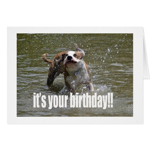 HAPPY BIRTHDAY DOG LOVER CARD | Zazzle