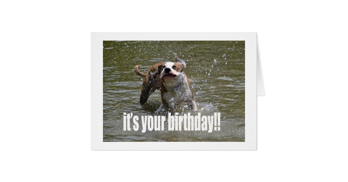 HAPPY BIRTHDAY DOG LOVER CARD | Zazzle