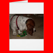 HAPPY BIRTHDAY DOGGIE cards