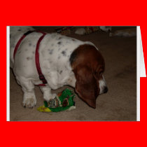 HAPPY BIRTHDAY DOGGIE cards