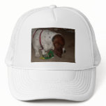 HAPPY BIRTHDAY DOGGIE HAT