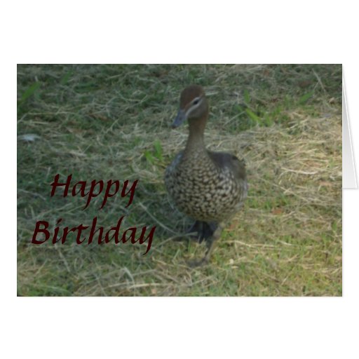 happy birthday duck greeting card