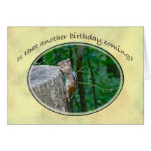 Happy Birthday - Eastern Chipmunk Greeting Cards
