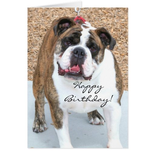 Happy Birthday English Bulldog greeting card | Zazzle