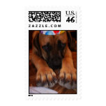 Happy Birthday - English Mastiff Dog Birthday postage