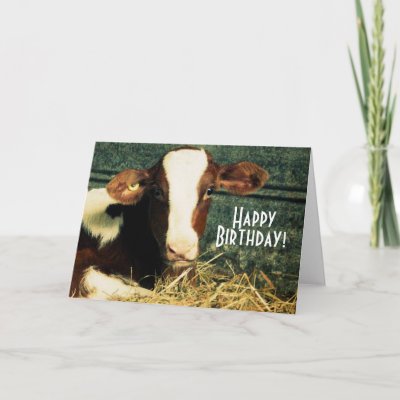 Happy Farmer on Happy Birthday Farmer   Brown And White Calf Card From Zazzle Com