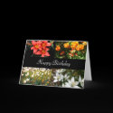 Happy Birthday Flowers | cards