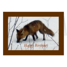 Happy Birthday For All Framed-Fox Greeting Card