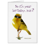 Happy birthday (for her) LolBirds card