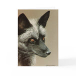 Happy Birthday Foxy Lady cards