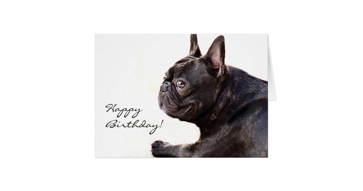 Happy Birthday French Bulldog card | Zazzle