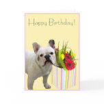 Happy Birthday french bulldog greeting card