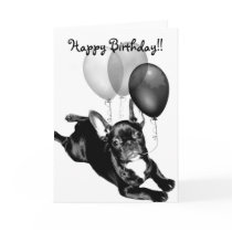 Happy Birthday French Bulldog greeting card