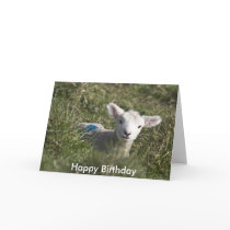 Happy birthday from me to ewe card