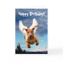 Happy Birthday from Michael the Bark Angel, Greeting Cards