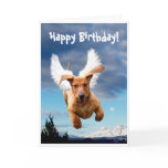 Happy Birthday from Michael the Bark Angel, cards