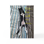 Happy Birthday from Playful Cat Cards