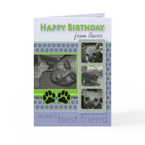 Happy Birthday From the Dog Birthday Card by BeezKneez Happy Birthday From the Dog Birthday Card