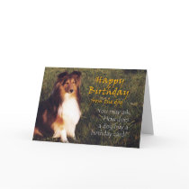 Happy Birthday from the Dog cards