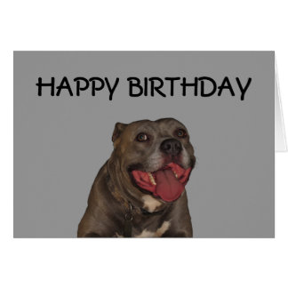 Happy Birthday From The Dog Gifts on Zazzle