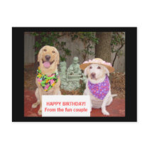 HAPPY BIRTHDAY! From the fun couple postcards